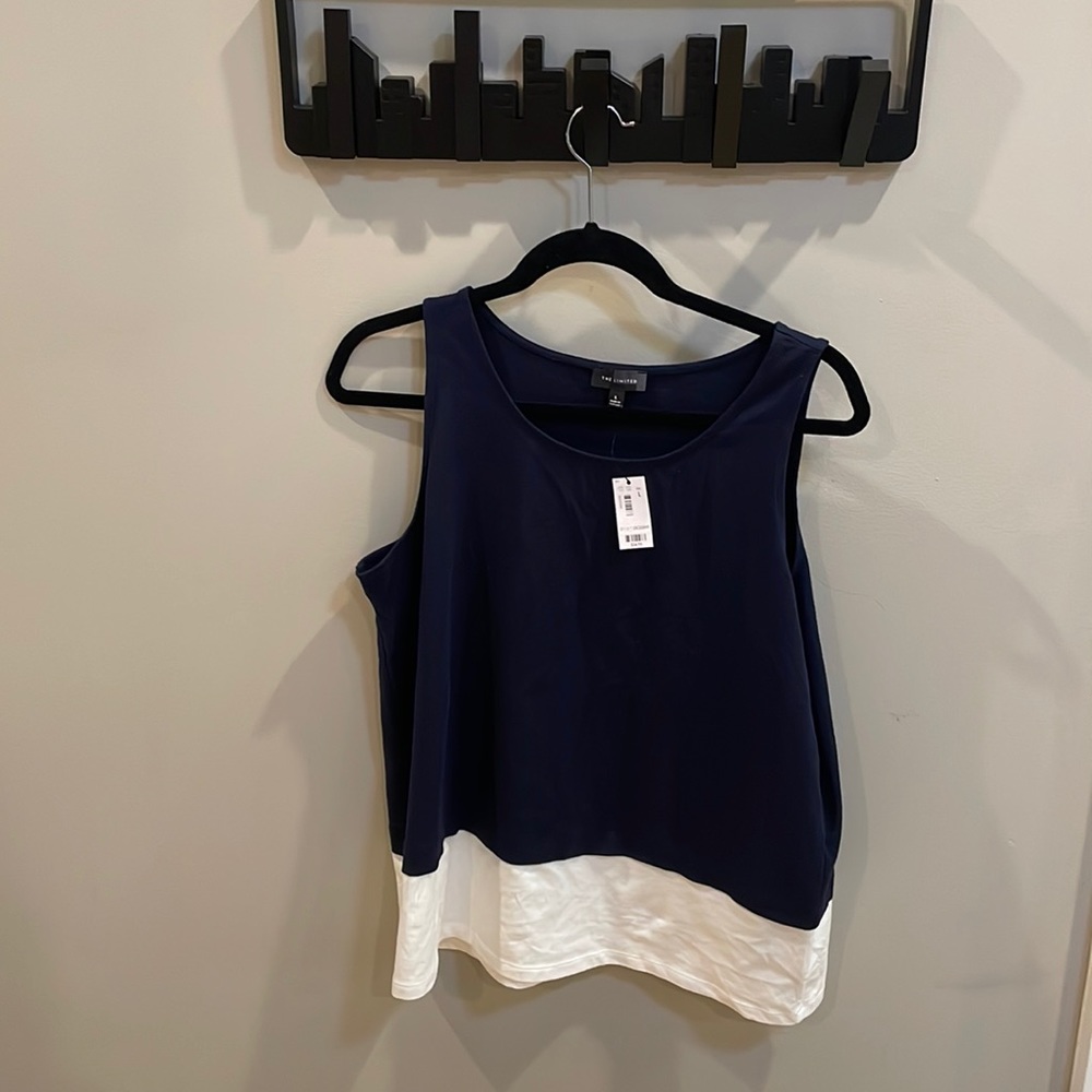 The Limited Color Block tank